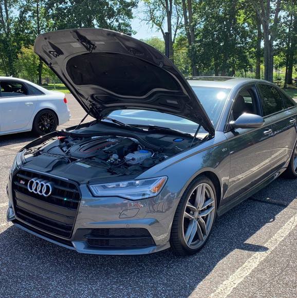 Meet your Posher, Ryan - Picture 1 of 1